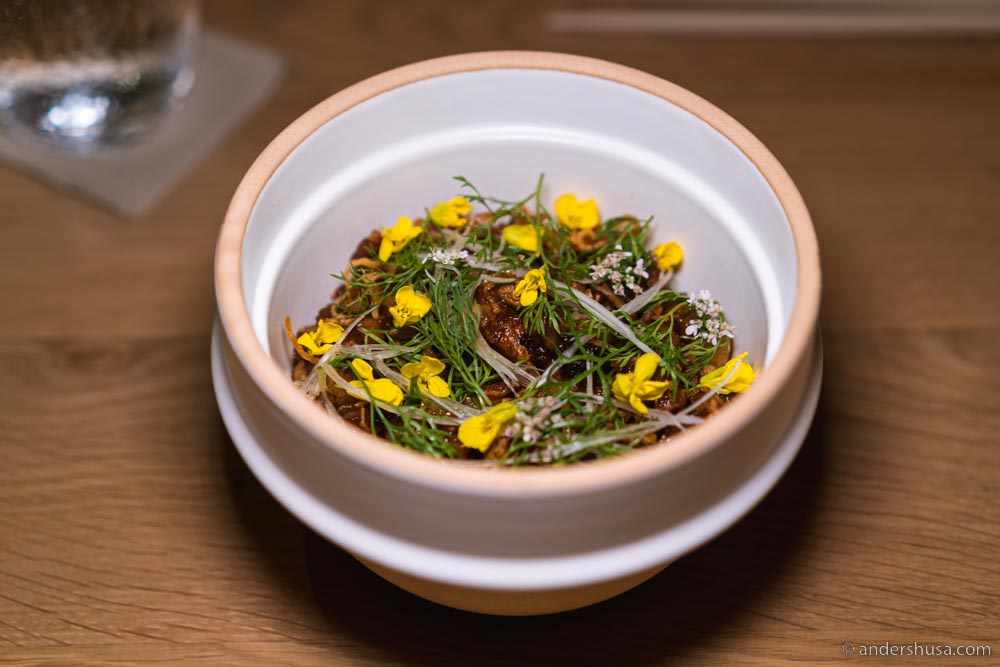 Food photography associated with Kato